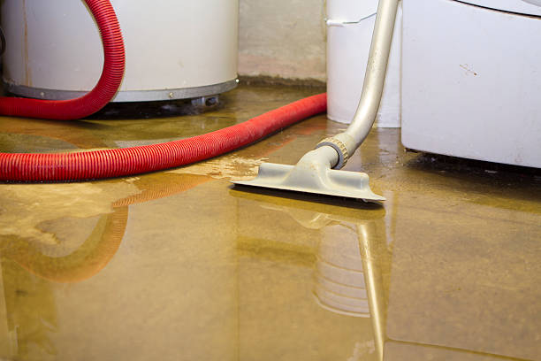 Best Odor Removal and Sanitization After Water Damage in Smyrna, TN