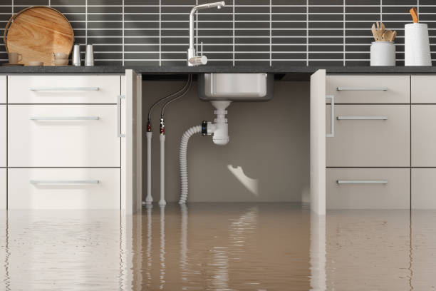 Trusted Water Damage Restoration in Smyrna, TN | Fast, Reliable, and Ready to Assist You